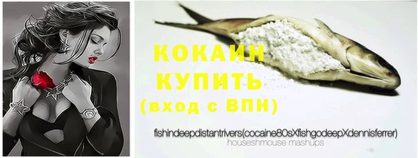 ECSTASY Абаза