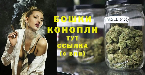 ECSTASY Абаза