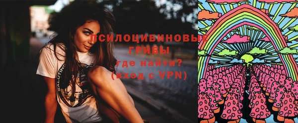 ECSTASY Абаза