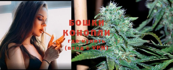 ECSTASY Абаза